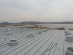 东营技师学院体育馆